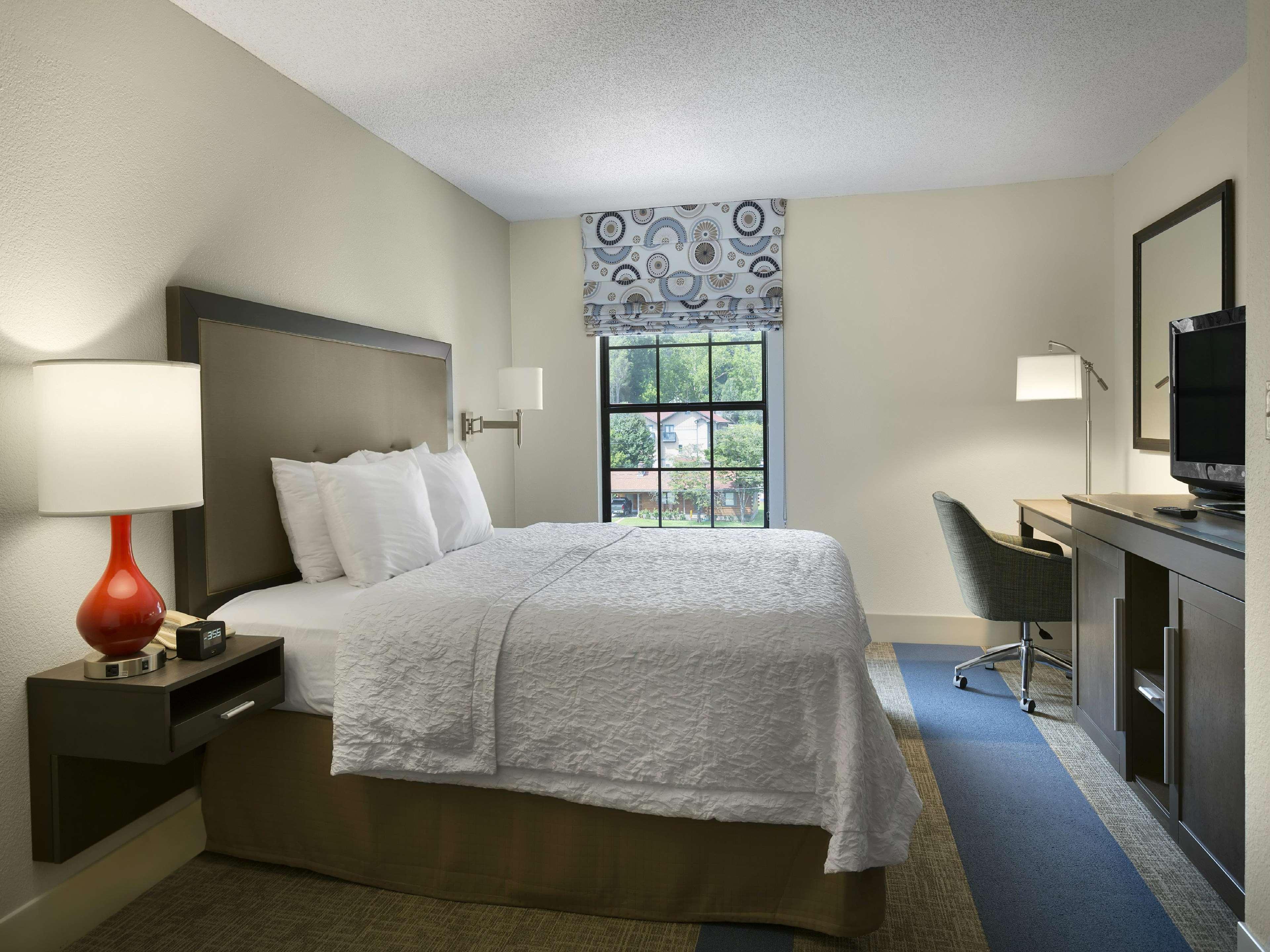 Hampton Inn Хелен Экстерьер фото